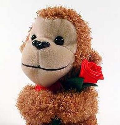 Monkeys love you